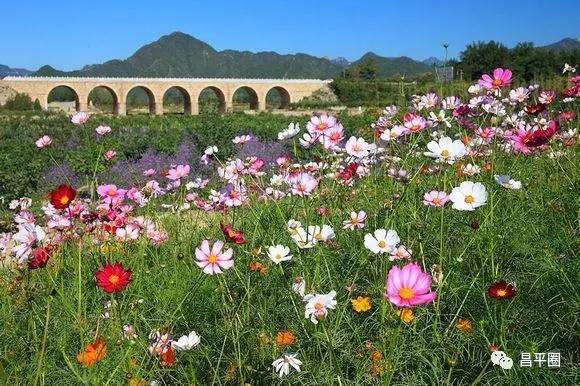 昌平约会,昌平有哪些情侣适合去的地方