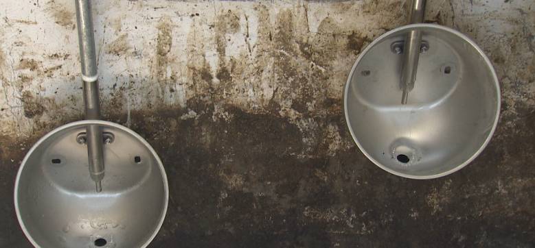 清理厕所大作战,猪粪自动清理