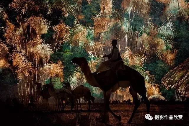 摄影师张艳画意摄影,摄影师人物摄影作品