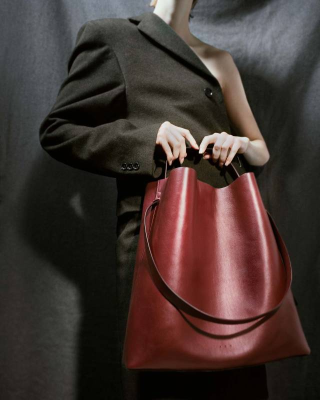 celine王菲时期,王菲和celine