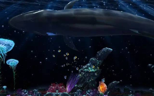 爱丽丝梦游仙境令人震惊的地方,武汉爱丽丝梦游仙境迷宫