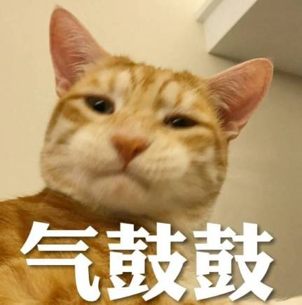 写给我男朋友的七夕送礼指南,分手了七夕送什么礼物挽留