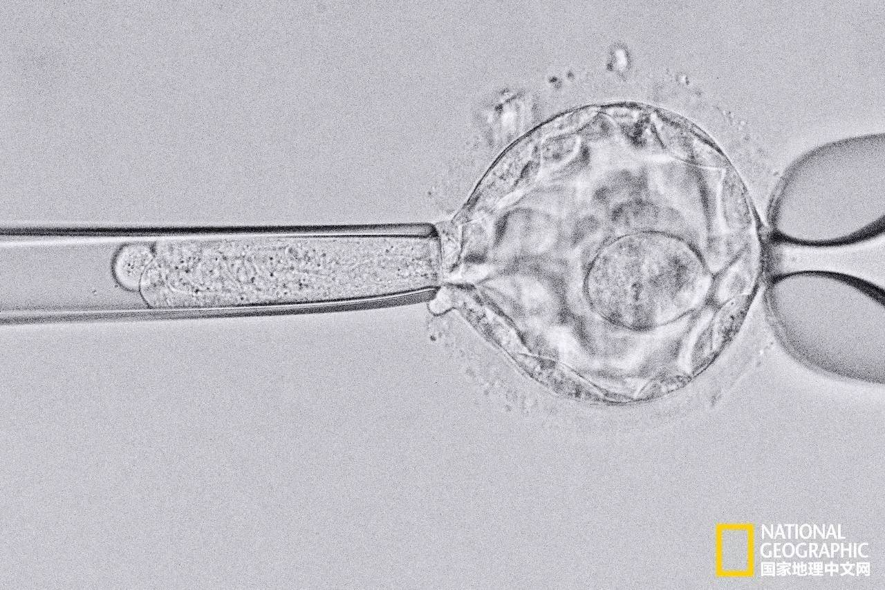 人类发明的新技术,人类新科技技术
