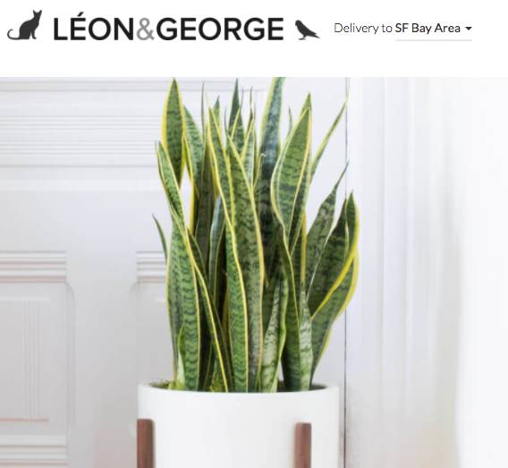 yc全球著名创业孵化器 (美国著名的yc创业孵化器)