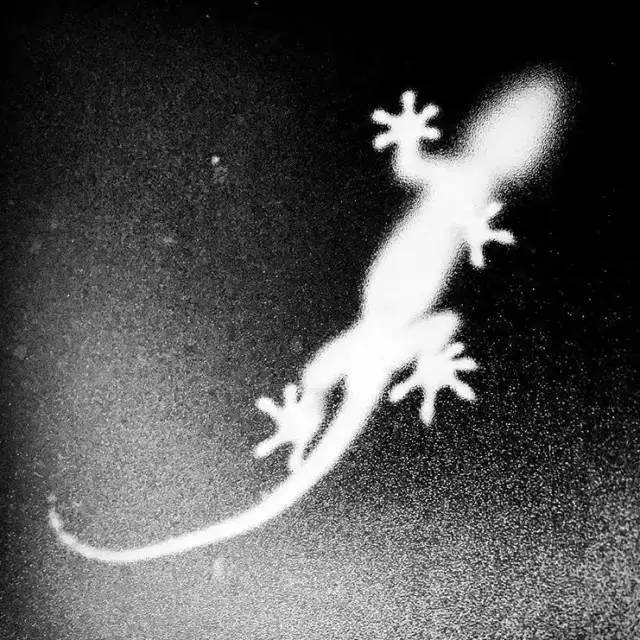 1分钟轻松搞定8个手机摄影技巧,想学一点入门的手机摄影技巧