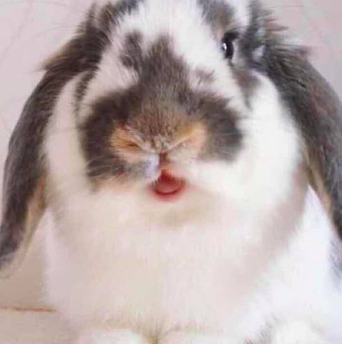 好物节年中大促,好东西优惠大促