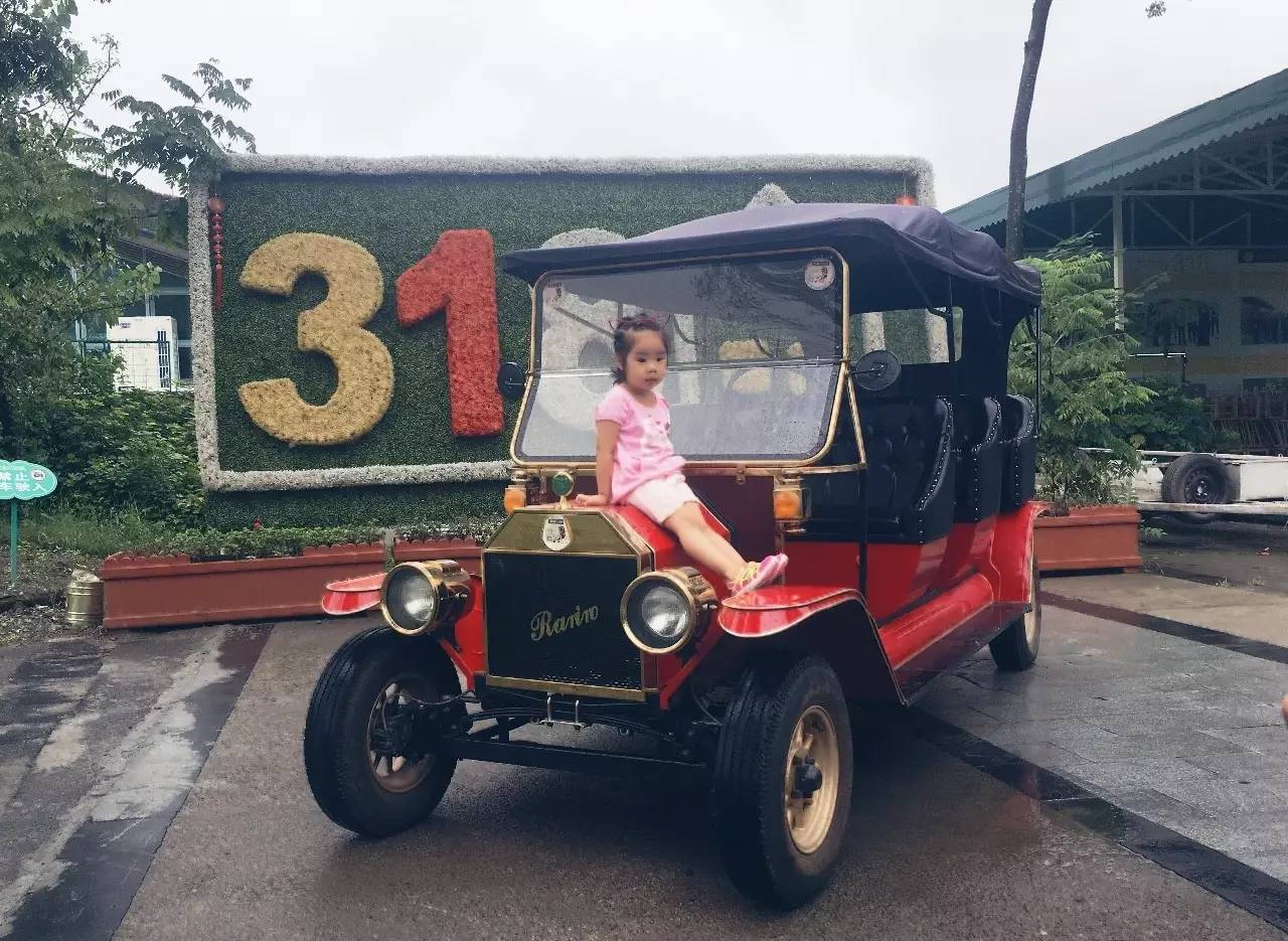 智慧与体力,脑力与体力的比拼