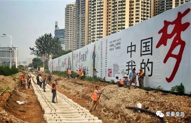 秦皇岛即将开的花海,秦皇岛最近的新花海