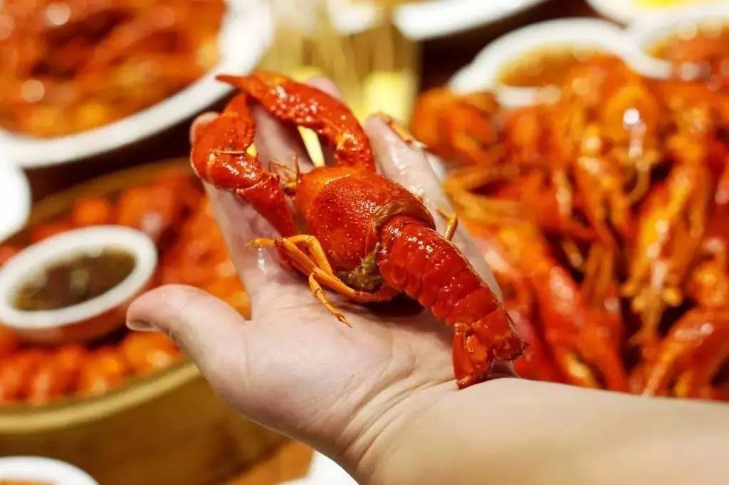 长沙哪里的正宗虾最好,全长沙最好吃的湘菜馆