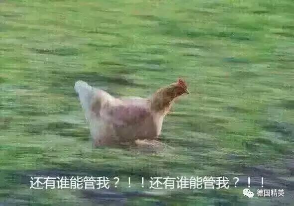 海外淘宝可以包邮啦!德国网红海淘的中国神器你可能见都没见过!