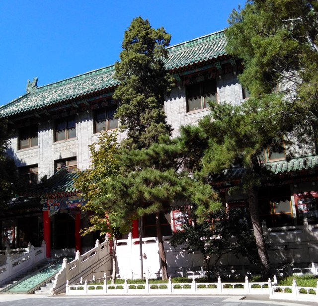 生来就是一个吃货|浮想联翩解剖学第二弹