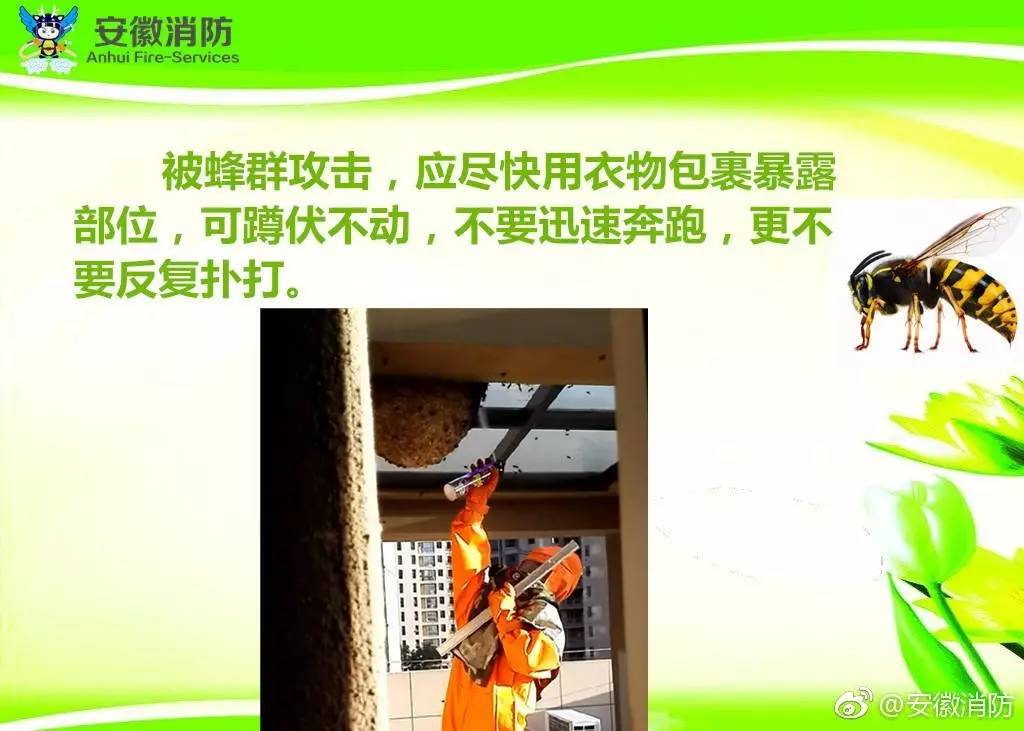 居民屋檐下惊现巨型马蜂窝,居民楼惊现马蜂窝消防队员一窝端