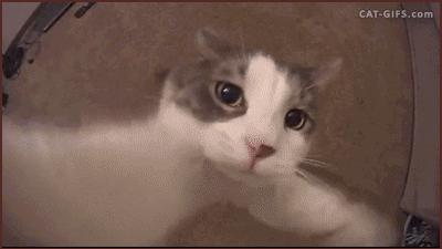 当你亲女生的时候她一直躲着,女生亲你的时候嘟嘴