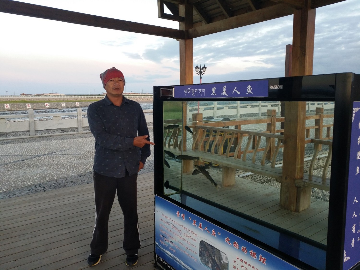 青海湟鱼家园,青海的湟鱼家园