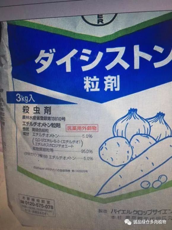 多肉最好的杀虫剂有哪些,多肉常见杀菌杀虫药