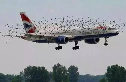 日本出事飞机竟与311大地震有关,日本航空jal123号班机坠毁事件