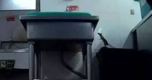 海底捞公关最新消息,海底捞道歉公关成功的原因