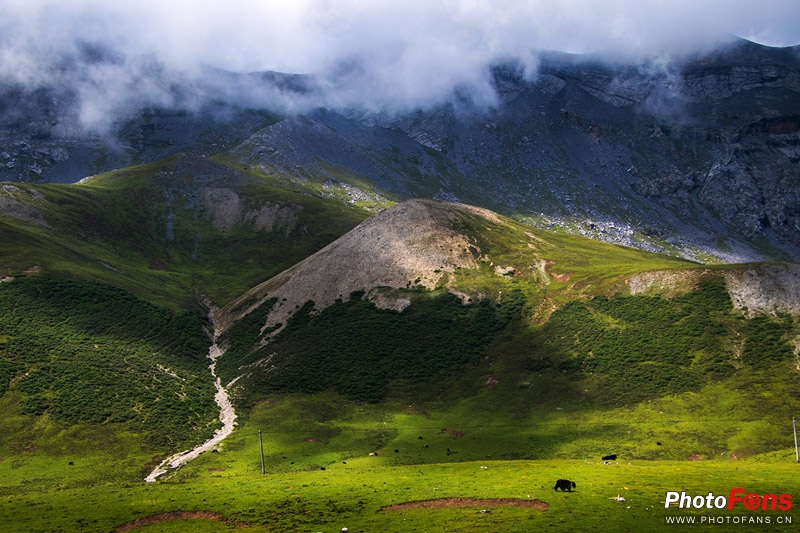 一镜走天下腾龙镜头,一镜走天下18-200腾龙镜头