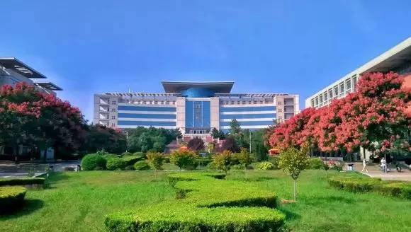 神奇学校动画,神奇的学校