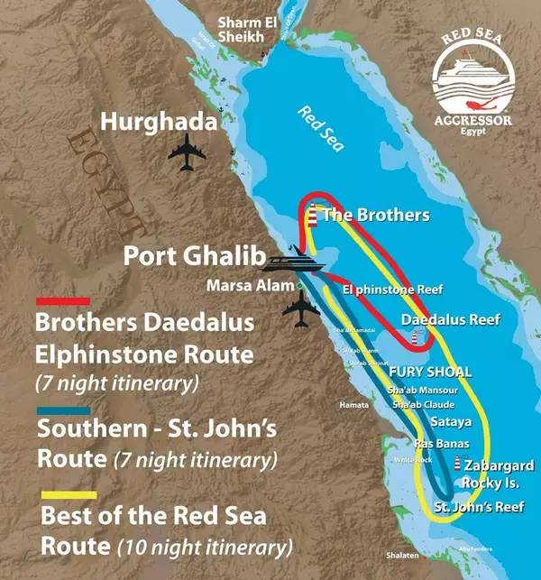 从入门级到朝圣级，职业潜水教练告诉你船宿该怎么选