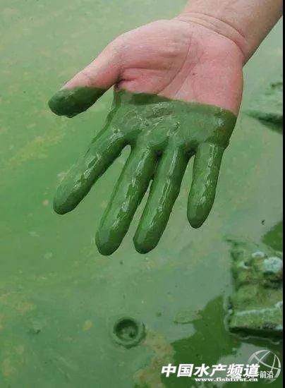 攻克水利难题,攻克净水技术难题