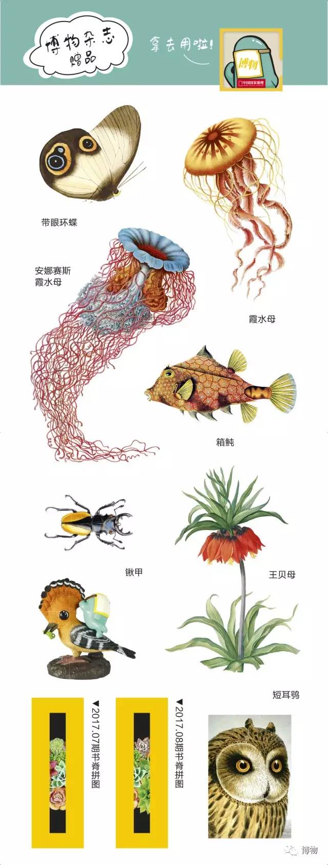 为啥马里奥要吃蘑菇才能长大？