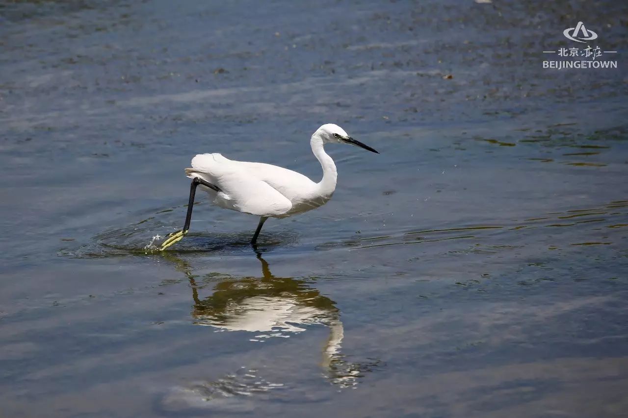 快来领取你的可爱姓氏壁纸,免费领取动态热门主题壁纸