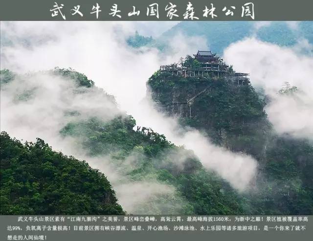 用口碑说话！金华人民这周末来这里看车，既有特大优惠又能见到大咖，这么好？