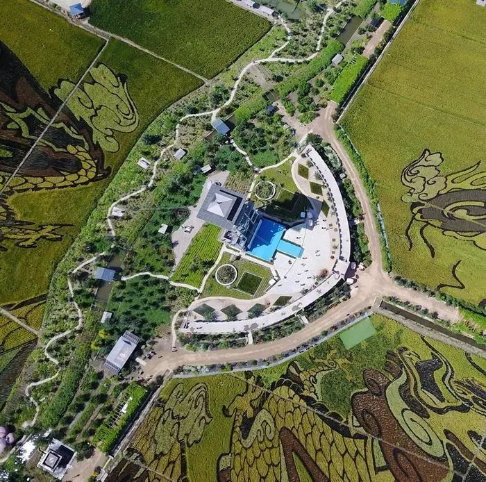 沈阳稻梦空间玉米,沈阳有稻梦空间吗