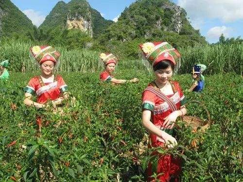广西山清水秀好风光,广西山清水秀风景图片