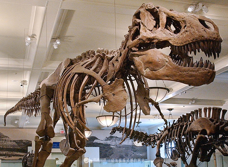 纽约city,纽约citypass选哪几个景点