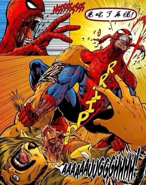 又萌又可爱的小蜘蛛你见过吗,盘点最可爱的小蜘蛛