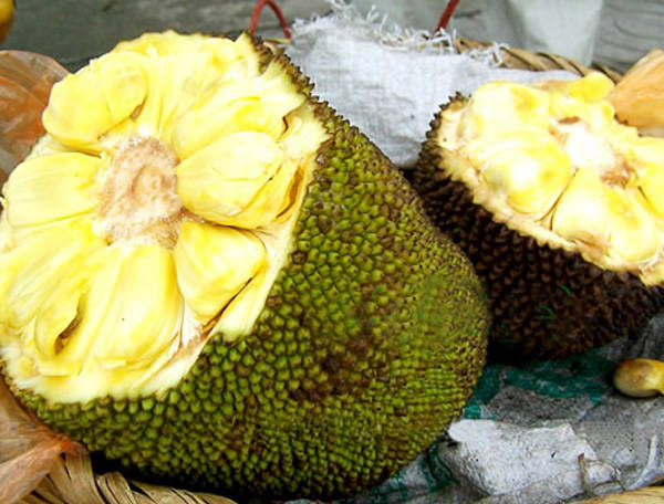 秋色正好邂逅大美河口,美丽的河口一日游