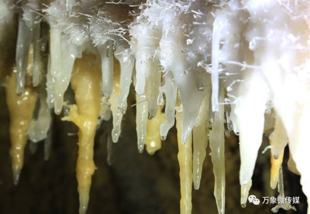 头条丨大家好!我叫巴马,这是我的简历,请多多关照!