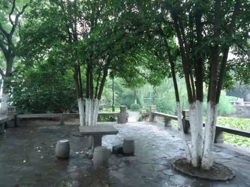 340亩主题公园啥时动工,3000平方米绿地公园