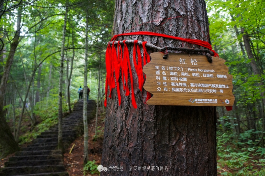 镜泊湖火山口免费景点,镜泊湖火山口森林景区