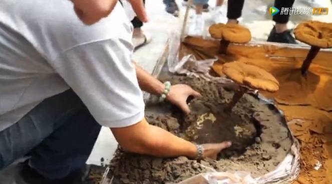 豆瓣评分8.4分，感动上亿中国观众，这部中草药版的《舌尖上的中国》，告诉你灵芝孢子粉的故事