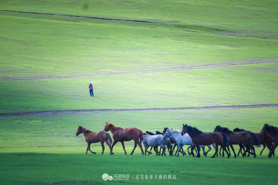 现代中国赤兔马,当代赤兔马