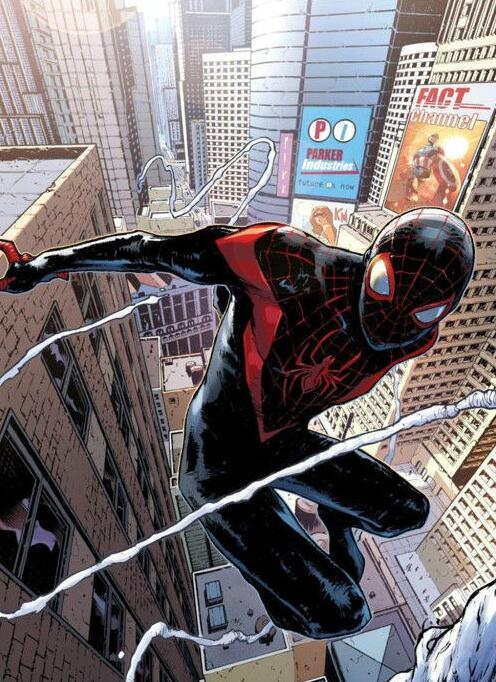 又萌又可爱的小蜘蛛你见过吗,盘点最可爱的小蜘蛛