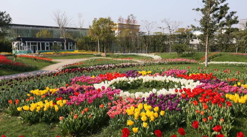 教师节活动免费/5折！三江夜游、海洋世界、罗蒙环球乐园……