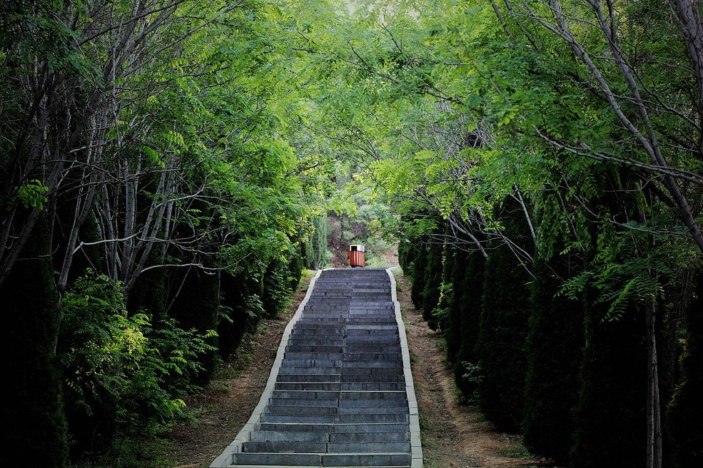 大局已定还要继续努力吗,大局已定扭转乾坤