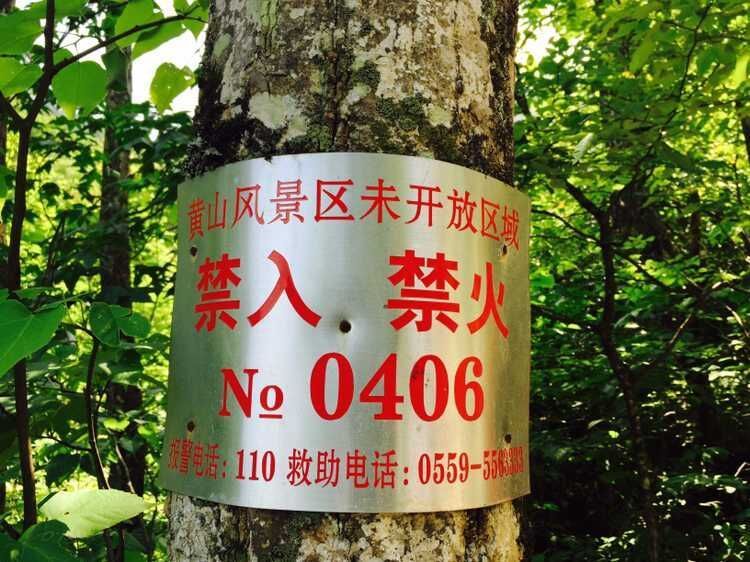 走近你就走进了痛苦出自哪里,走近你就是走近痛苦