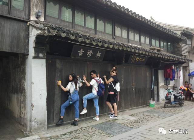 洋气了，我的太仓！沪上明星“网红”来太掀起直播之旅