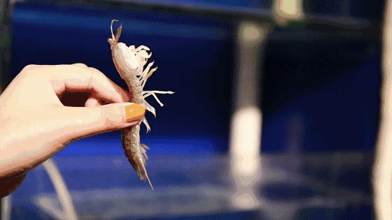 神木海鲜大咖团购套餐,神木海鲜大咖套餐团购2-3人