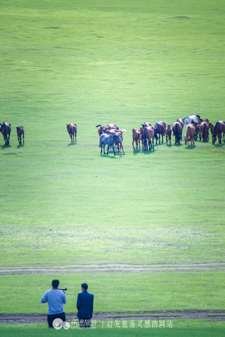现代中国赤兔马,当代赤兔马