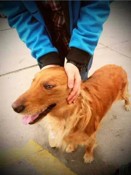 泰国清迈自驾游攻略,泰国到清迈自驾游最佳路线