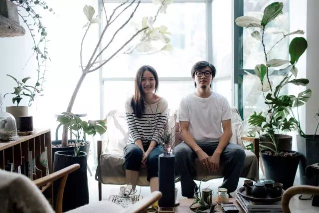 梵几高古奇：设计有温度的家具，把自然请进每个人的客厅