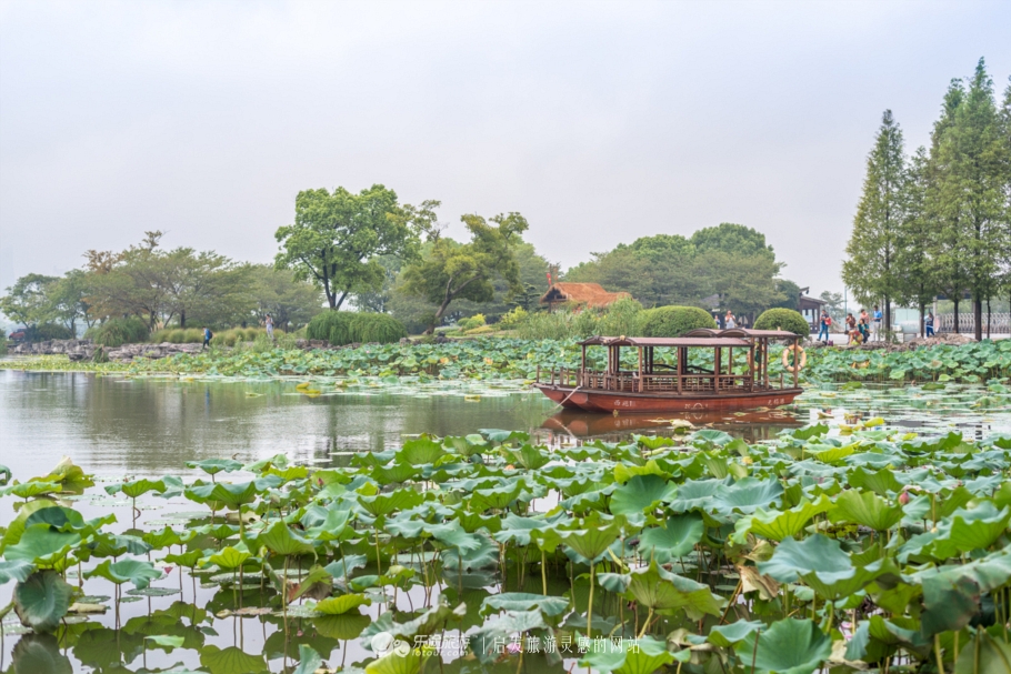 百年前的富人旅游影像,百年前富人区