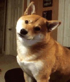 富士康的薪资水平,南京富士康工资待遇怎么样