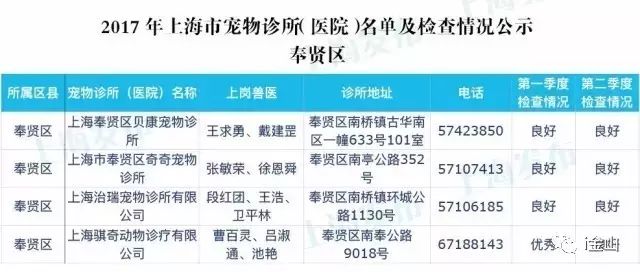 上海比较有名的宠物医院排名,上海金山有哪些好的宠物医院